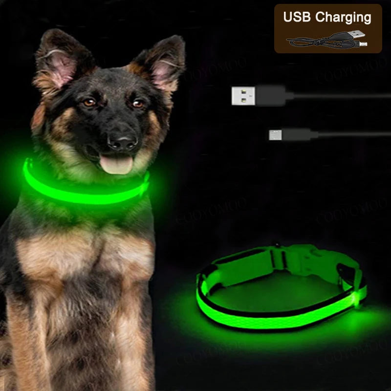 3-Mode LED Pet Collar