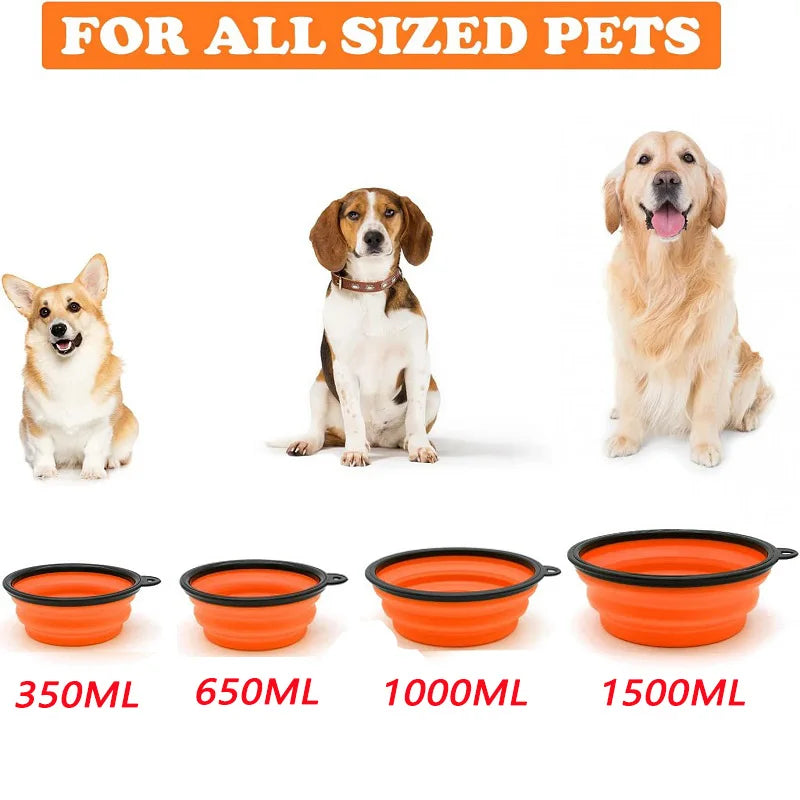 2-in-1 Pet Travel Feeder